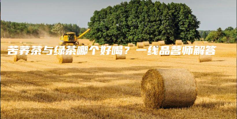 苦荞茶与绿茶哪个好喝?一线品茗师解答插图 苦荞茶与绿茶哪个好喝?一线品茗师解答插图