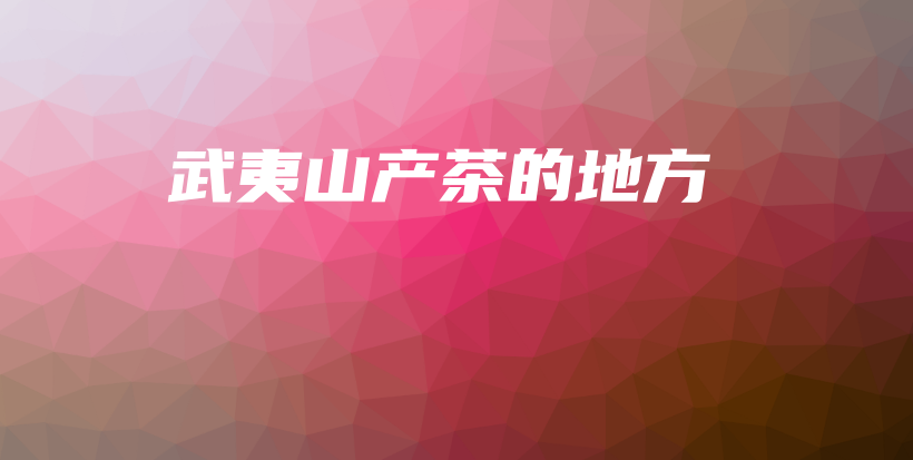 武夷山产茶的地方插图