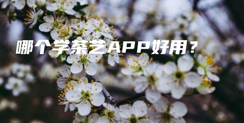 哪个学茶艺APP好用？插图