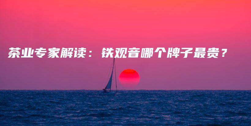 茶业专家解读：铁观音哪个牌子最贵？插图