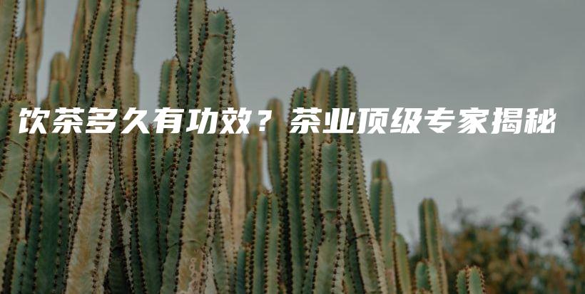 饮茶多久有功效？茶业顶级专家揭秘插图