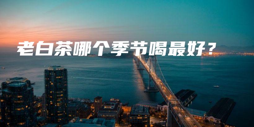 老白茶哪个季节喝最好？插图