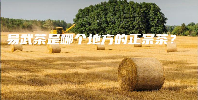 易武茶是哪个地方的正宗茶？插图