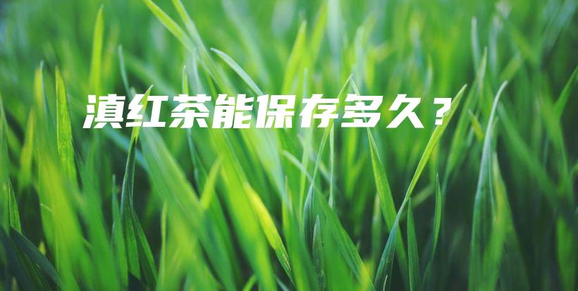 滇红茶能保存多久?插图 滇红茶能保存多久?插图