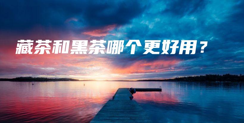 藏茶和黑茶哪个更好用?插图 藏茶和黑茶哪个更好用?插图