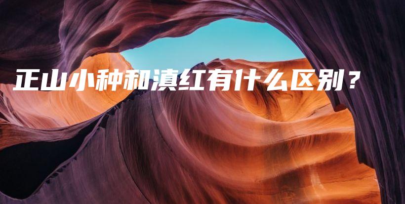 正山小种和滇红有什么区别？插图