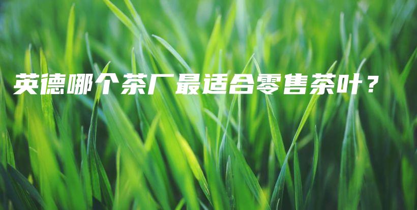 英德哪个茶厂最适合零售茶叶？插图