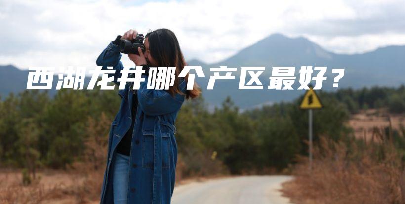 西湖龙井哪个产区最好？插图