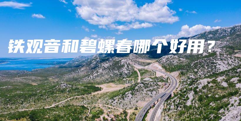 铁观音和碧螺春哪个好用？插图