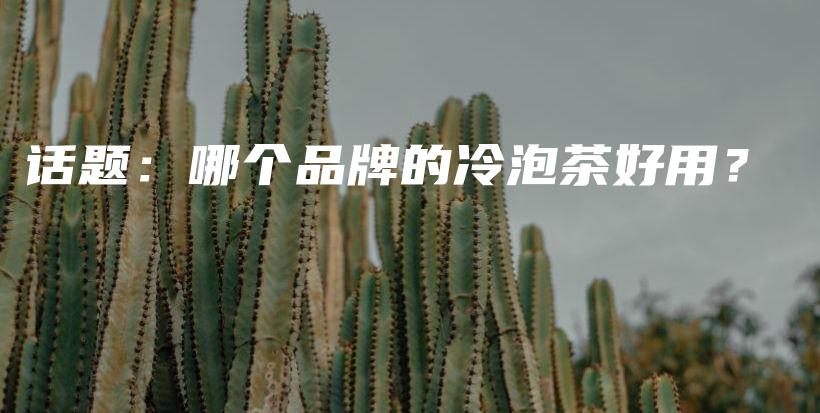 话题：哪个品牌的冷泡茶好用？插图