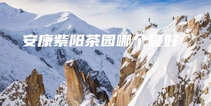 安康紫阳茶园哪个最好插图 安康紫阳茶园哪个最好插图