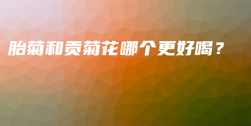 胎菊和贡菊花哪个更好喝？插图