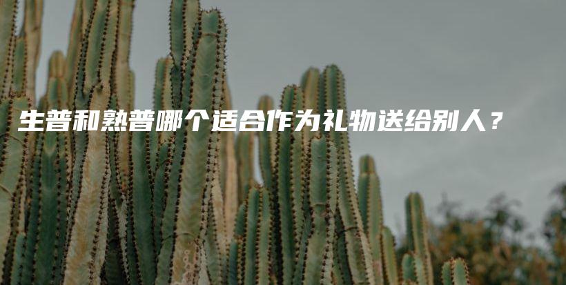 生普和熟普哪个适合作为礼物送给别人？插图