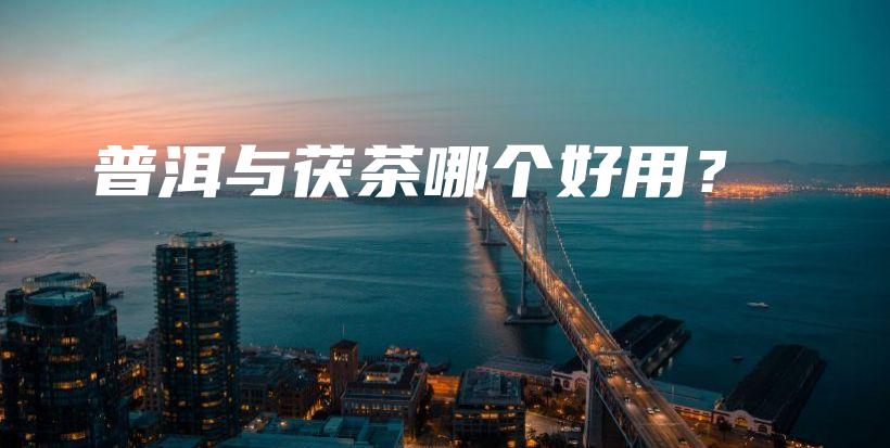 普洱与茯茶哪个好用？插图