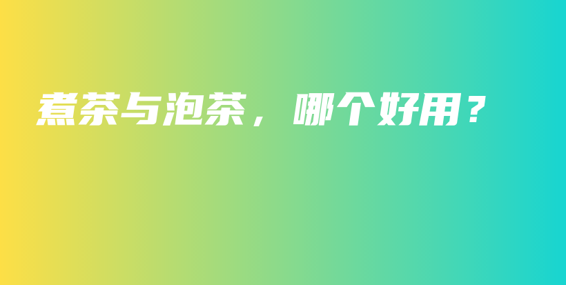 煮茶与泡茶，哪个好用？插图