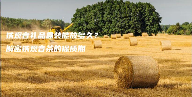铁观音礼品盒装能放多久？解密铁观音茶的保质期插图