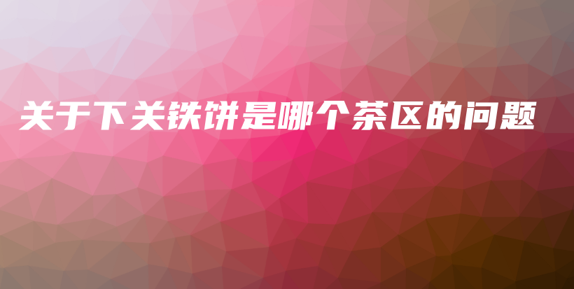 关于下关铁饼是哪个茶区的问题插图