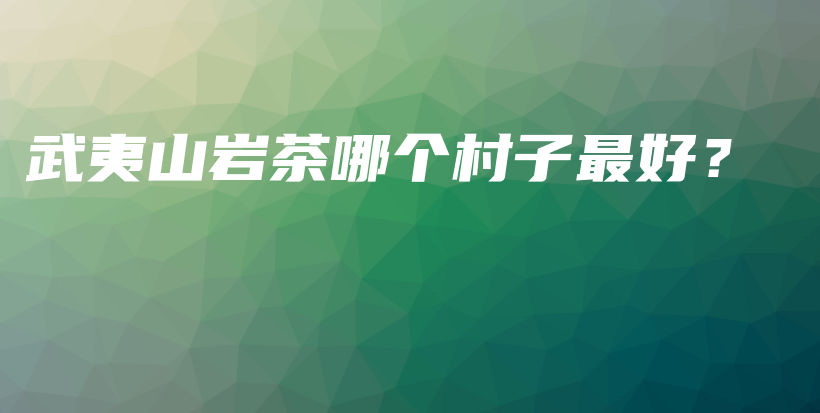 武夷山岩茶哪个村子最好？插图