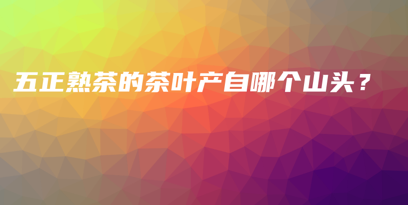 五正熟茶的茶叶产自哪个山头？插图