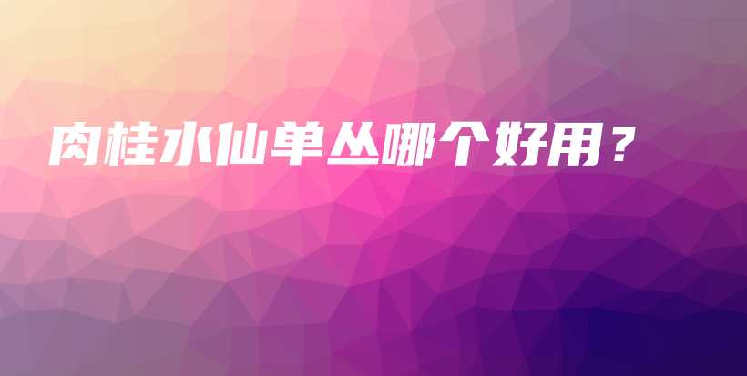 肉桂水仙单丛哪个好用？插图