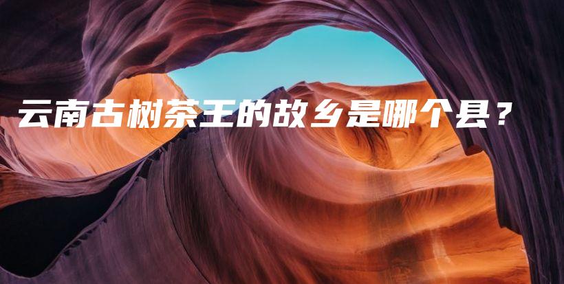 云南古树茶王的故乡是哪个县？插图