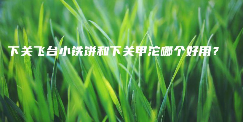 下关飞台小铁饼和下关甲沱哪个好用？插图