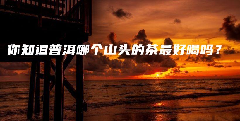 你知道普洱哪个山头的茶最好喝吗?插图 你知道普洱哪个山头的茶最好喝吗?插图