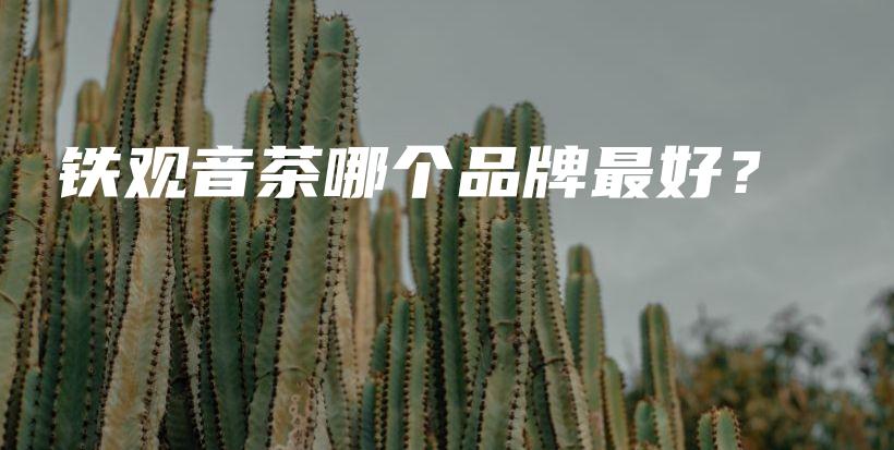 铁观音茶哪个品牌最好?插图 铁观音茶哪个品牌最好?插图