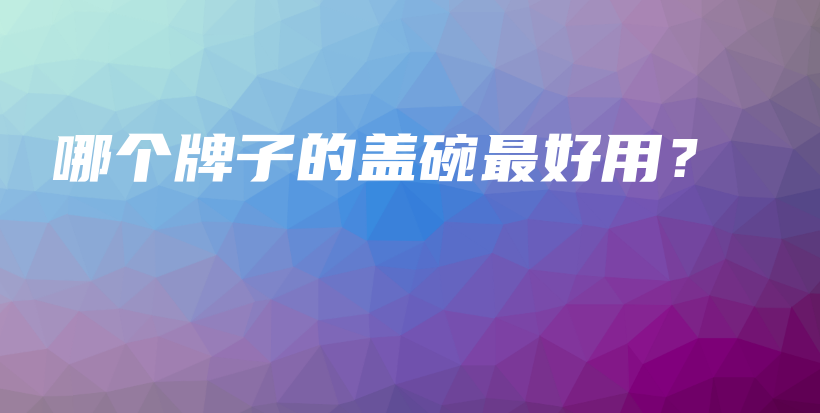 哪个牌子的盖碗最好用？插图