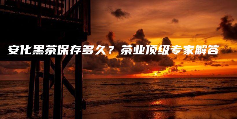 安化黑茶保存多久?茶业顶级专家解答插图 安化黑茶保存多久?茶业顶级专家解答插图