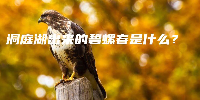 洞庭湖出来的碧螺春是什么？插图