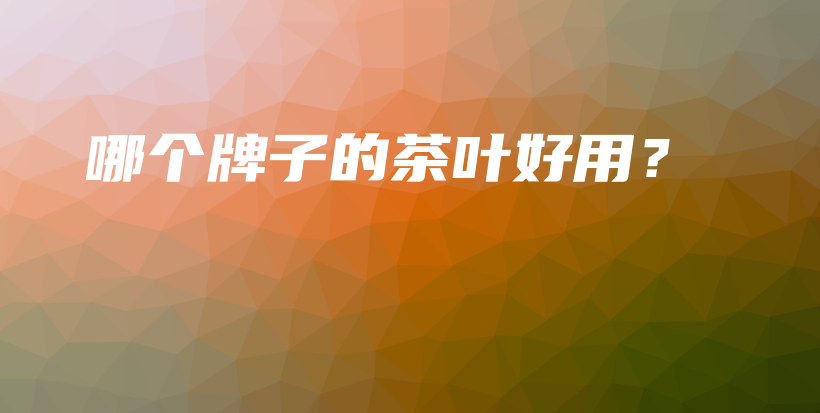 哪个牌子的茶叶好用？插图