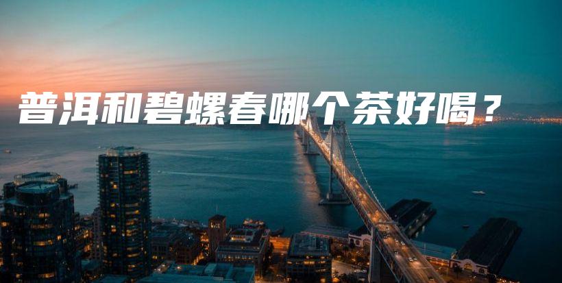 普洱和碧螺春哪个茶好喝？插图