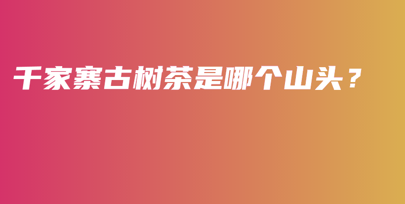 千家寨古树茶是哪个山头？插图