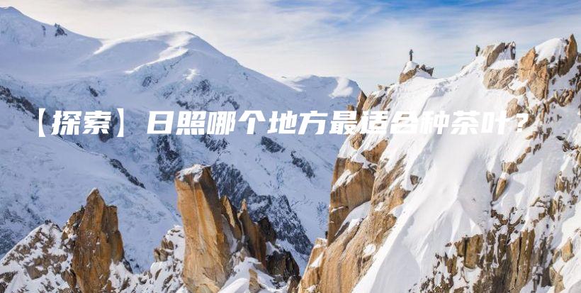 【探索】日照哪个地方最适合种茶叶？插图