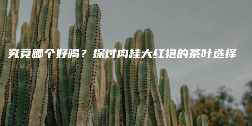 究竟哪个好喝？探讨肉桂大红袍的茶叶选择插图