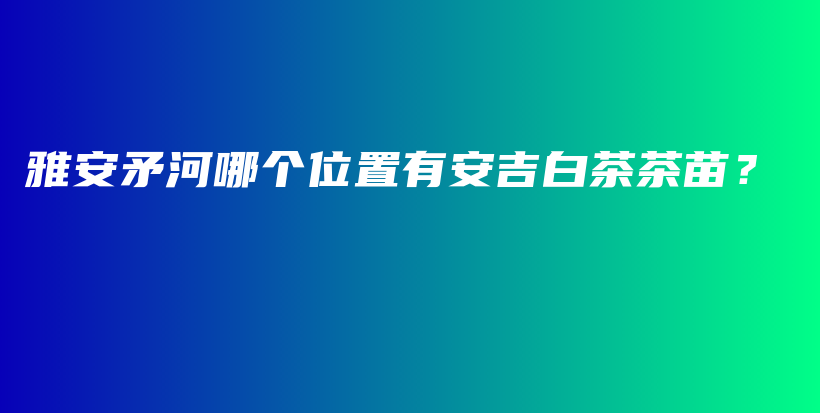 雅安矛河哪个位置有安吉白茶茶苗？插图