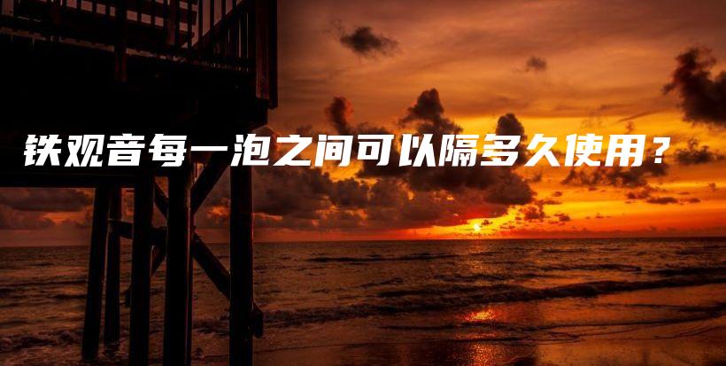 铁观音每一泡之间可以隔多久使用?插图 铁观音每一泡之间可以隔多久使用?插图