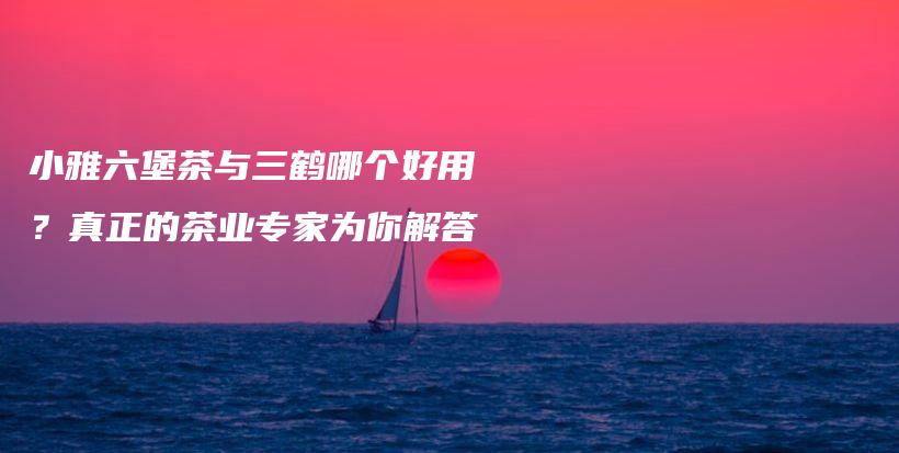 小雅六堡茶与三鹤哪个好用?真正的茶业专家为你解答插图 小雅六堡茶与三鹤哪个好用?真正的茶业专家为你解答插图
