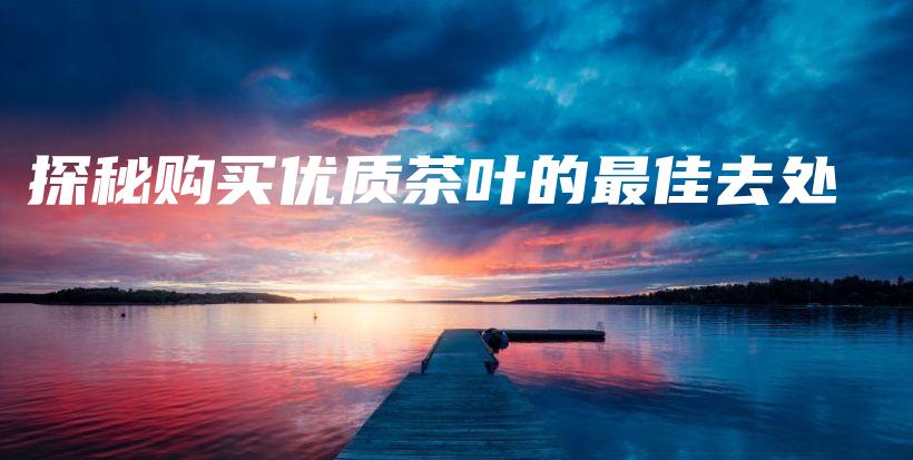 探秘购买优质茶叶的最佳去处插图