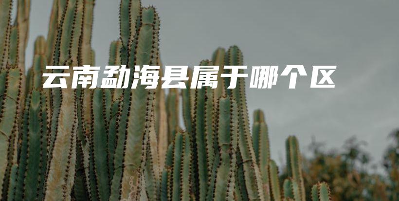 云南勐海县属于哪个区插图