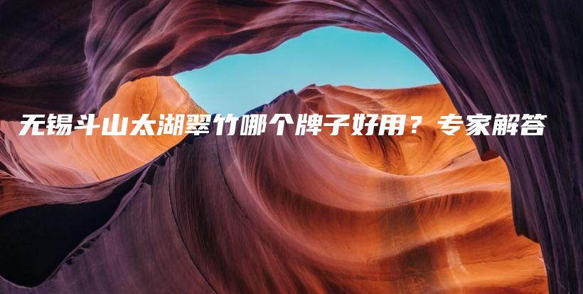 无锡斗山太湖翠竹哪个牌子好用？专家解答插图