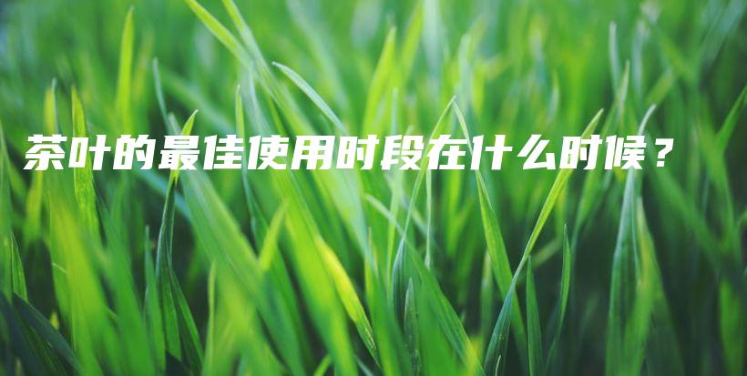 茶叶的最佳使用时段在什么时候？插图