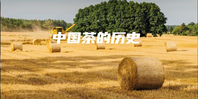 中国茶的历史插图