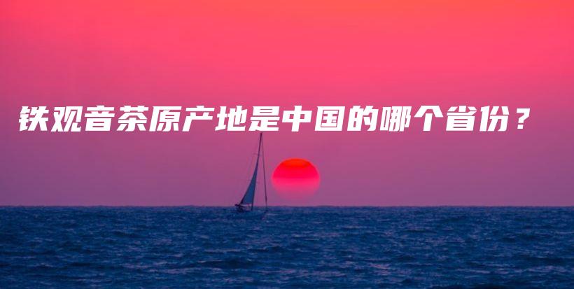 铁观音茶原产地是中国的哪个省份？插图