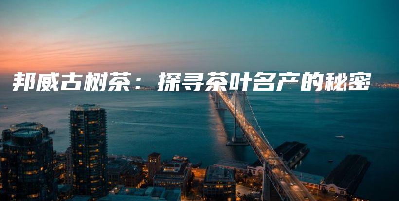 邦威古树茶：探寻茶叶名产的秘密插图