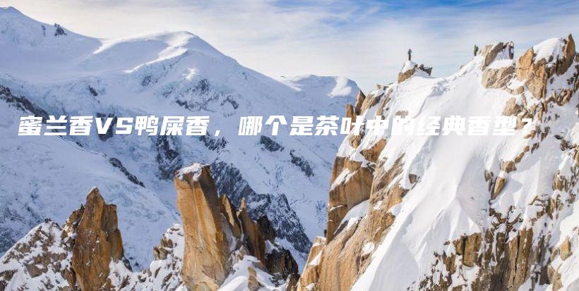 蜜兰香VS鸭屎香，哪个是茶叶中的经典香型？插图