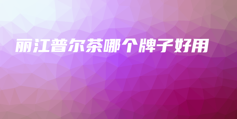 丽江普尔茶哪个牌子好用插图