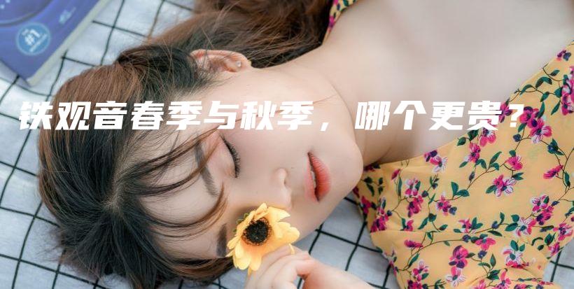 铁观音春季与秋季，哪个更贵？插图