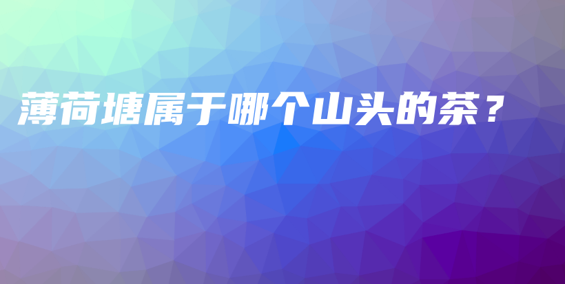 薄荷塘属于哪个山头的茶？插图